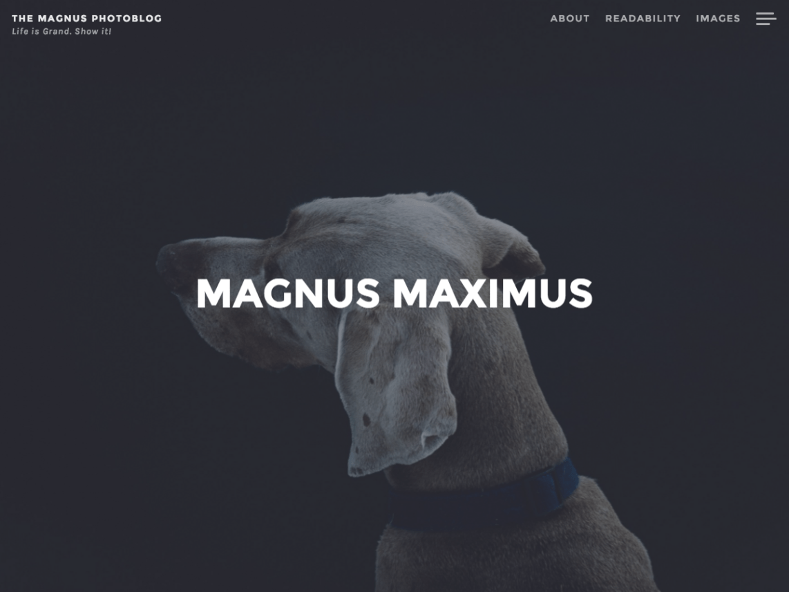 WordPress Theme Magnus