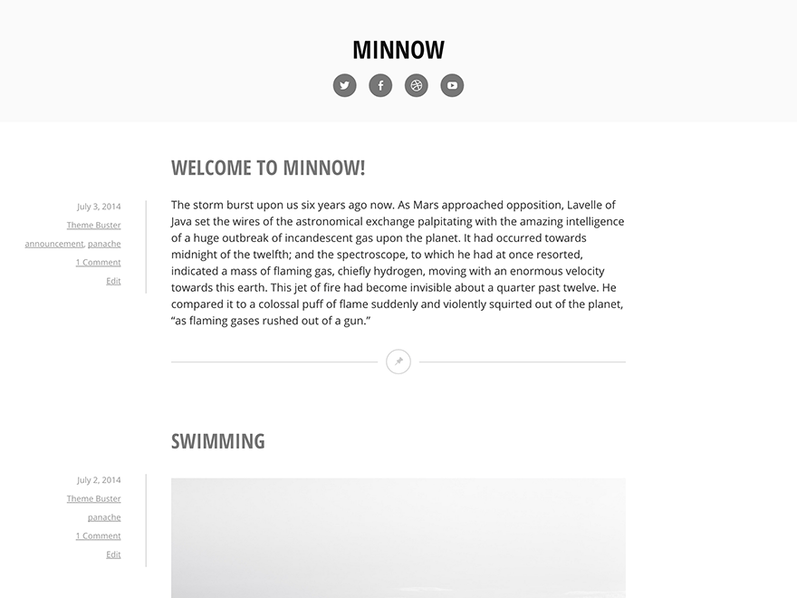 WordPress Theme Minnow