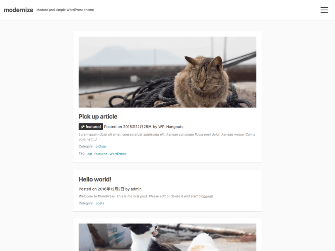 WordPress Theme modernize