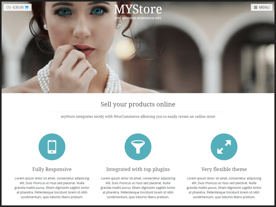 WordPress Theme myStore