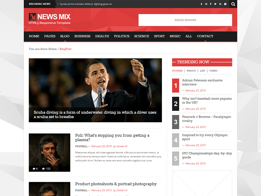 WordPress Theme News Mix Lite