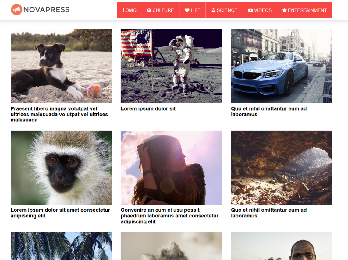 WordPress Theme NovaPress