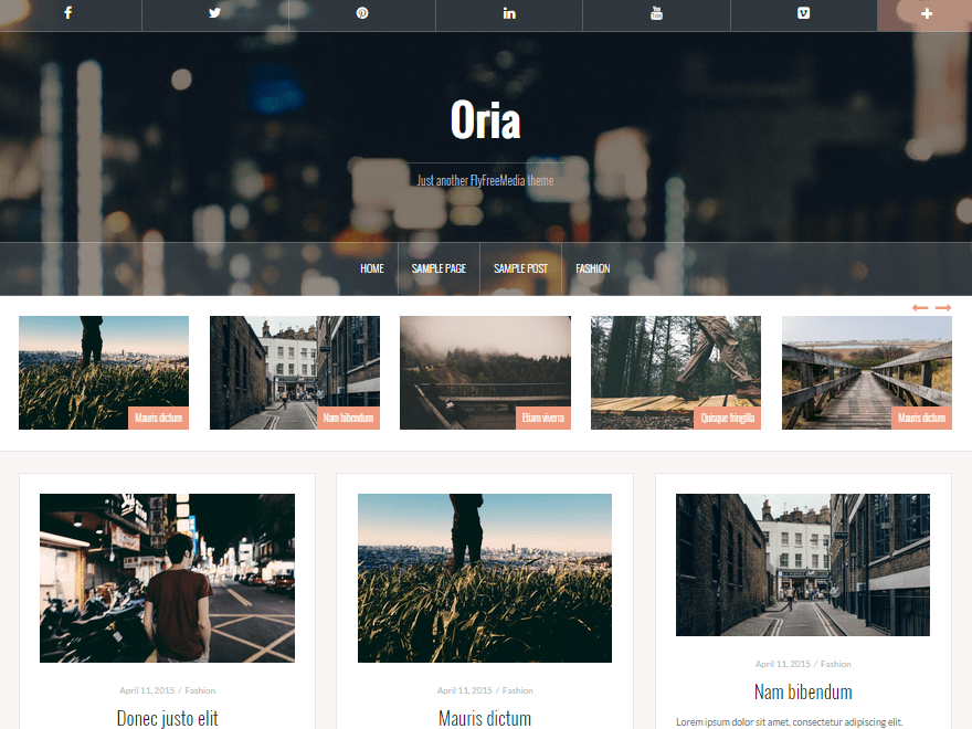 WordPress Theme Oria