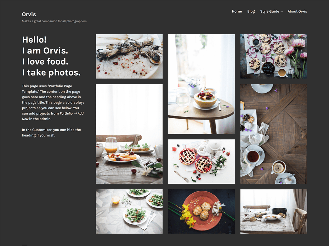 WordPress Theme Orvis