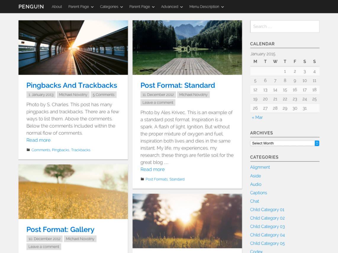 WordPress Theme Penguin
