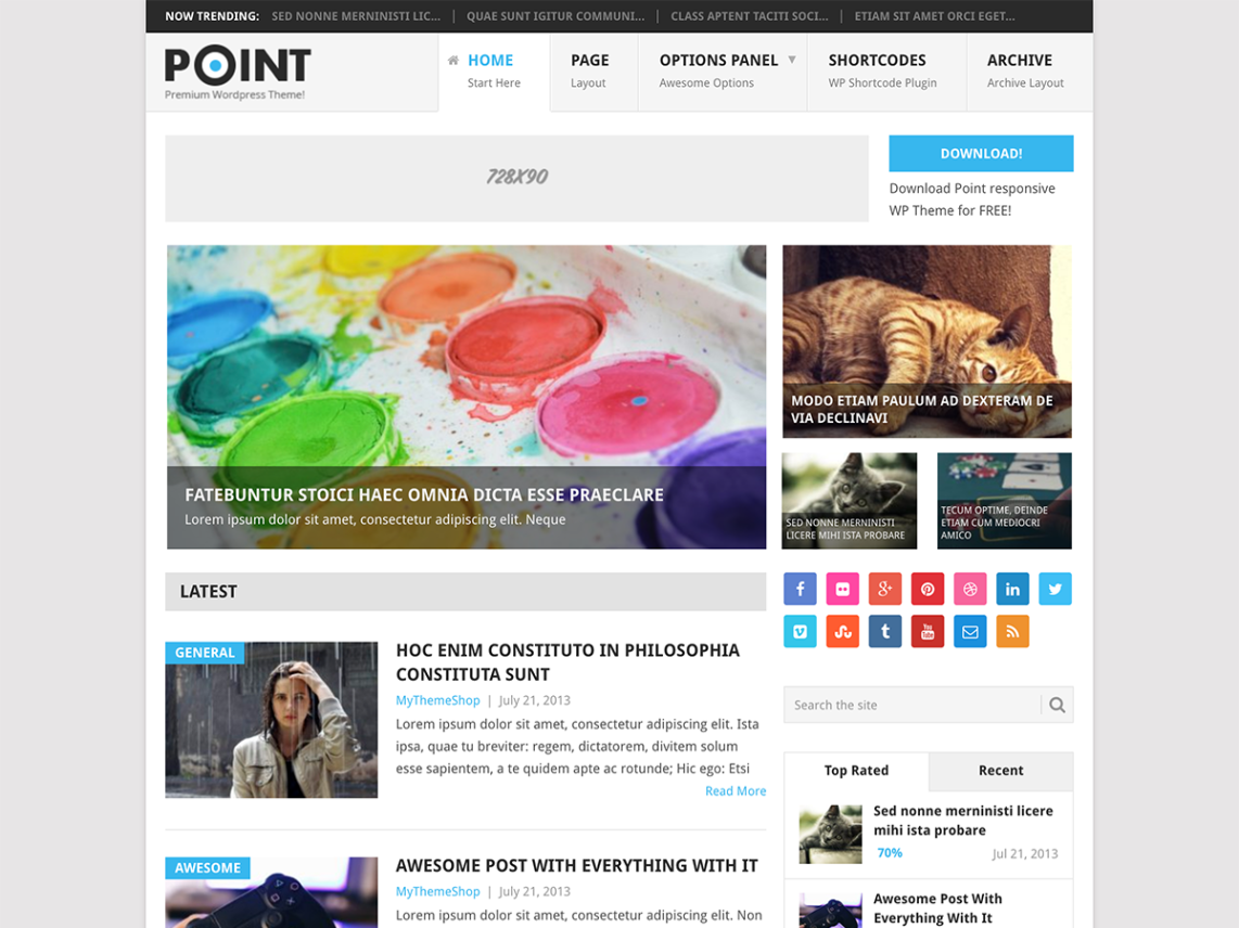 WordPress Theme Point