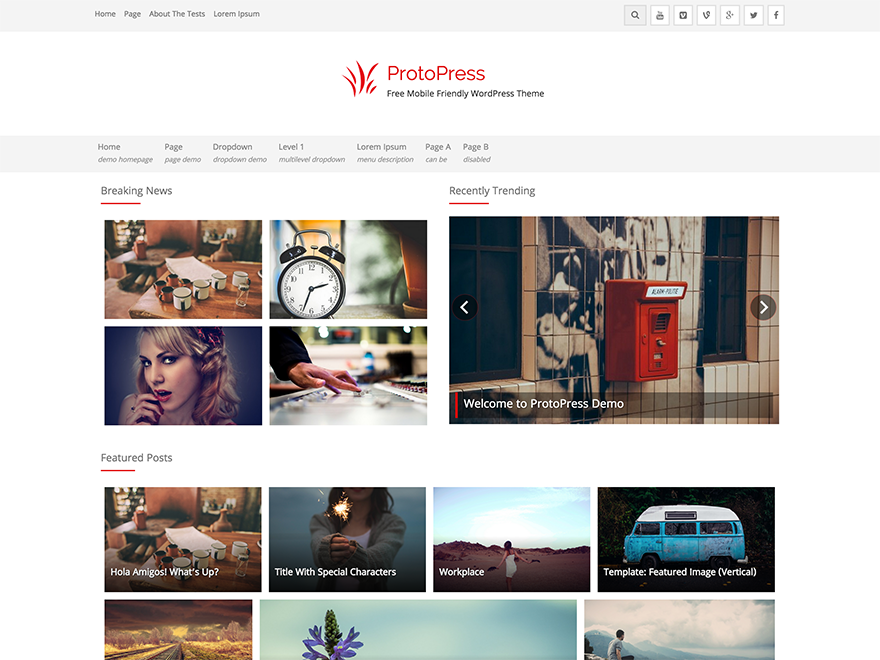 WordPress Theme ProtoPress