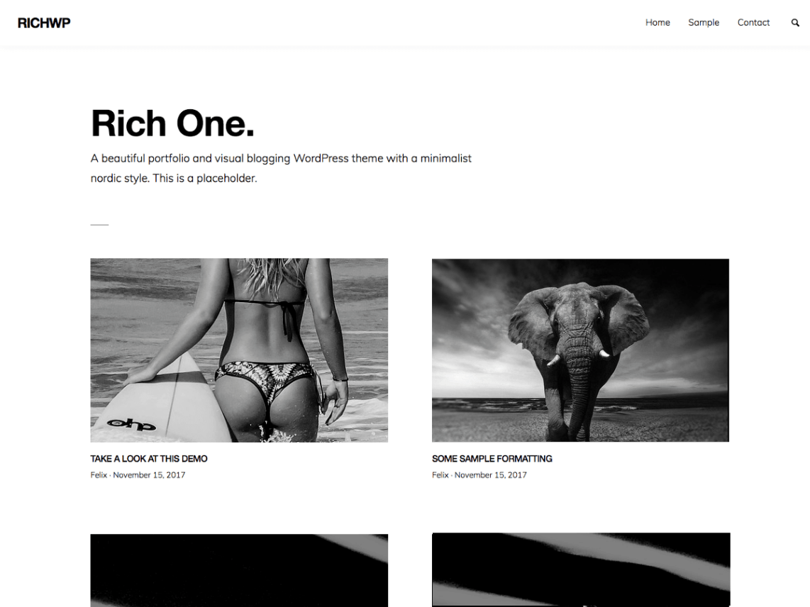 WordPress Theme RichOne