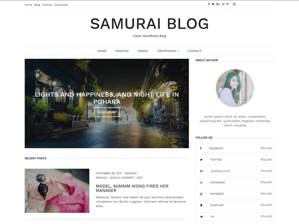 WordPress Theme Samurai