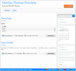 WordPress Theme Skinbu