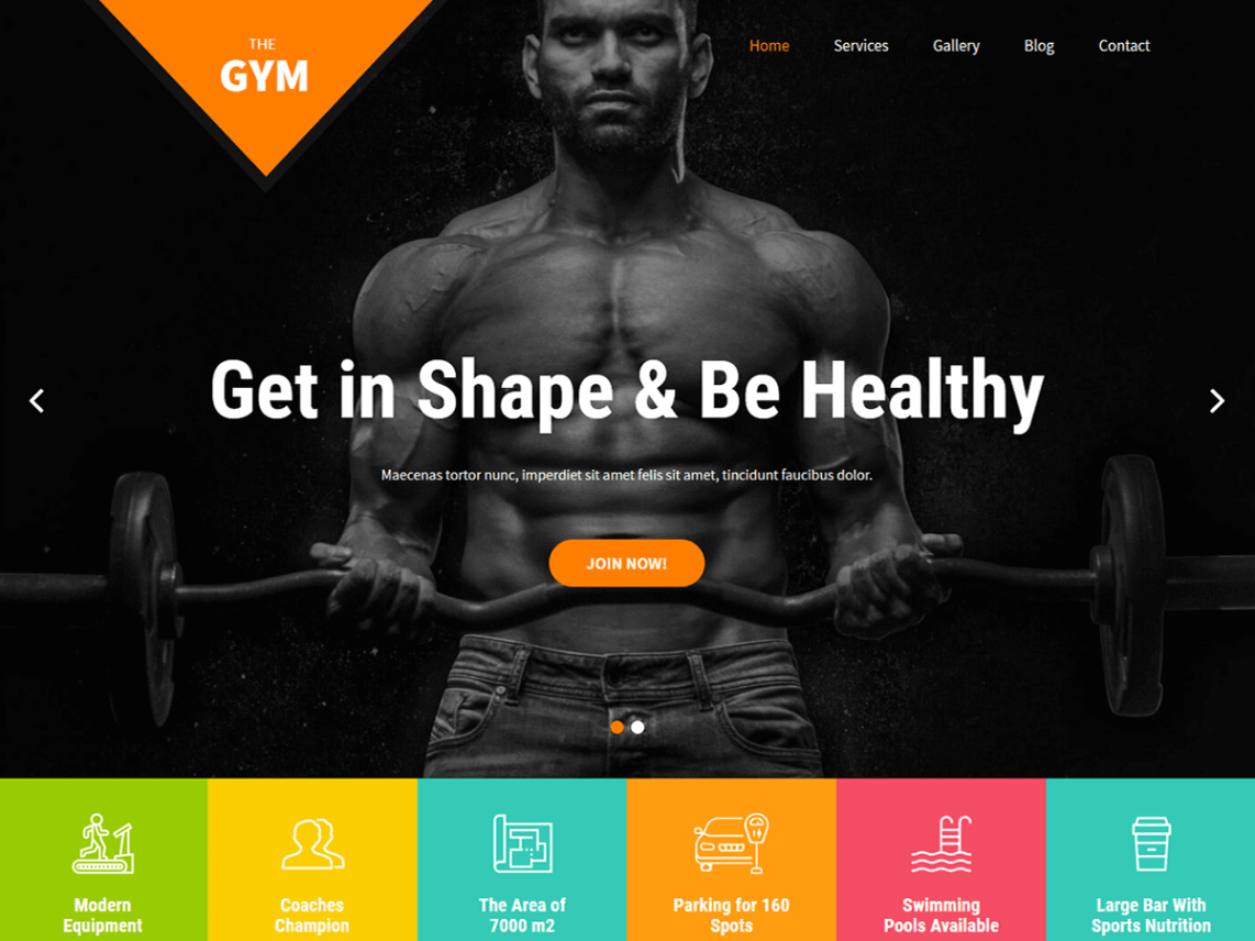 WordPress Theme SKT Gym