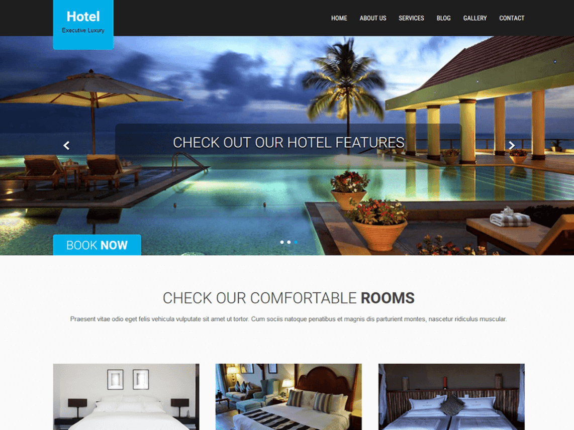 WordPress Theme SKT Hotel Lite