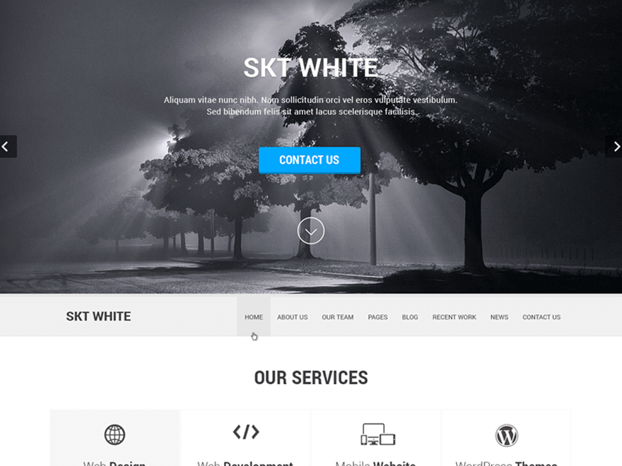 WordPress Theme SKT White