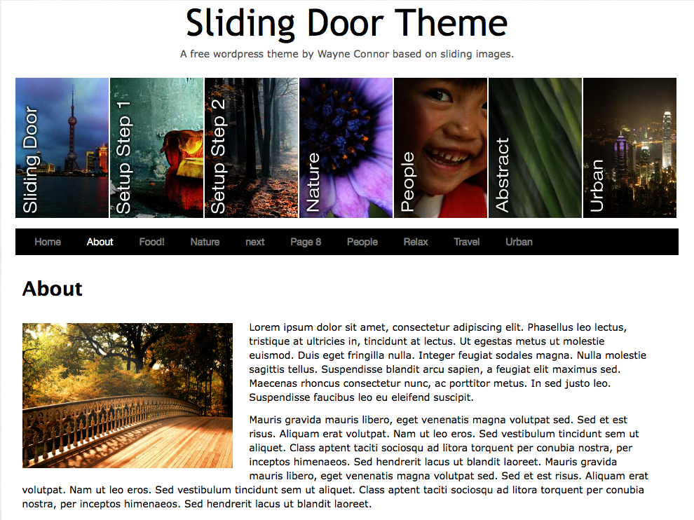 WordPress Theme Sliding Door