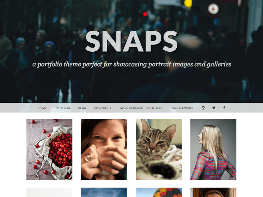 WordPress Theme Snaps