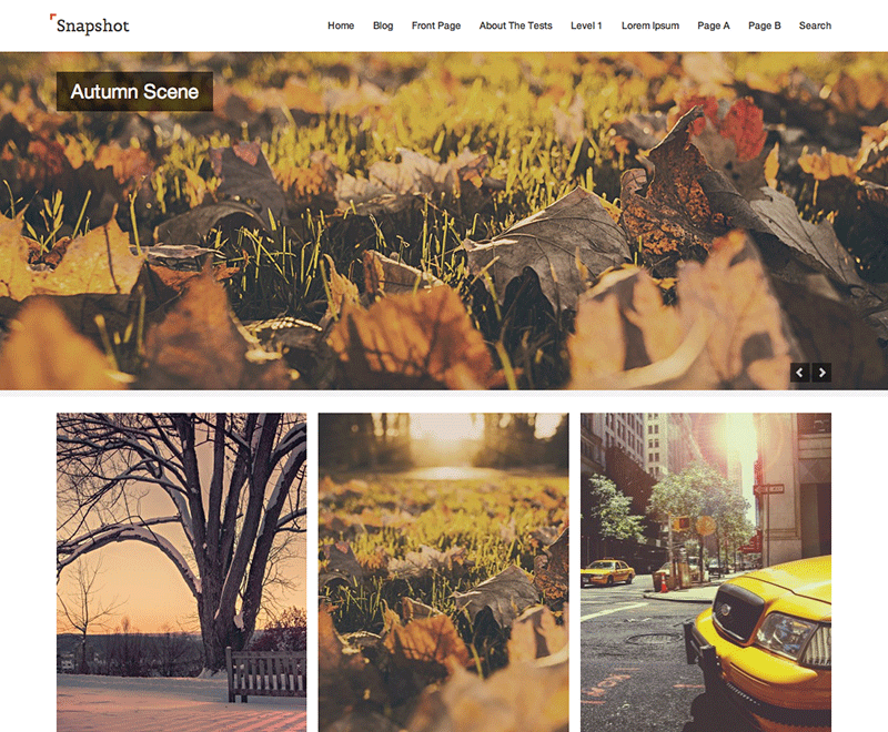 WordPress Theme Snapshot
