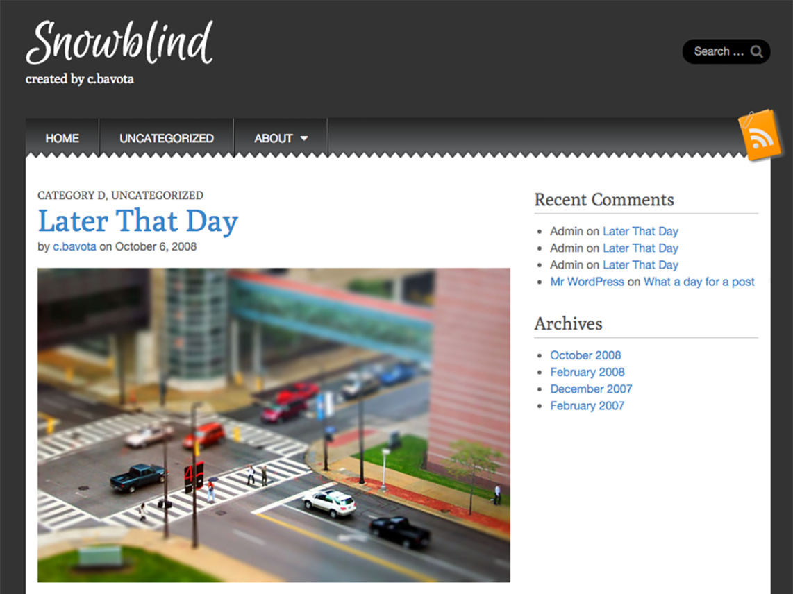 WordPress Theme Snowblind