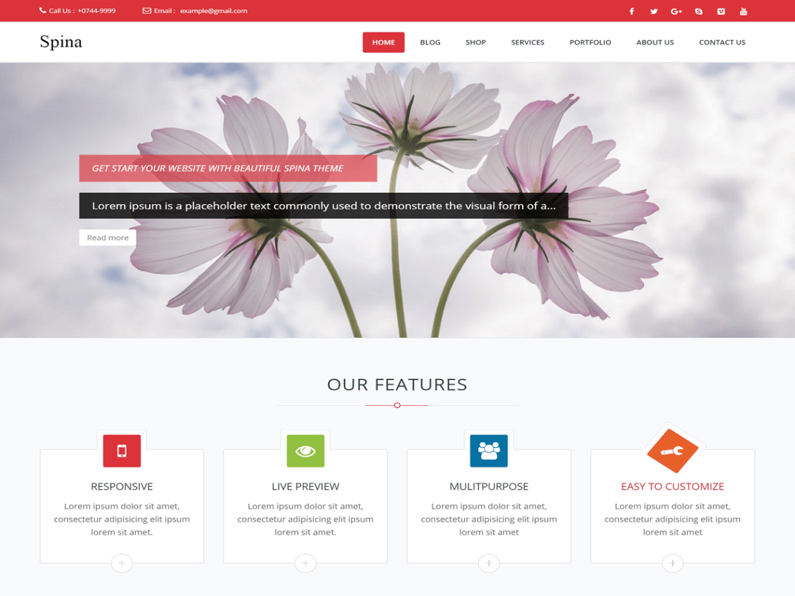 WordPress Theme Spina