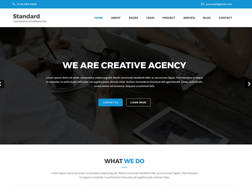 WordPress Theme Standard Lite