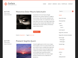 WordPress Theme Surface