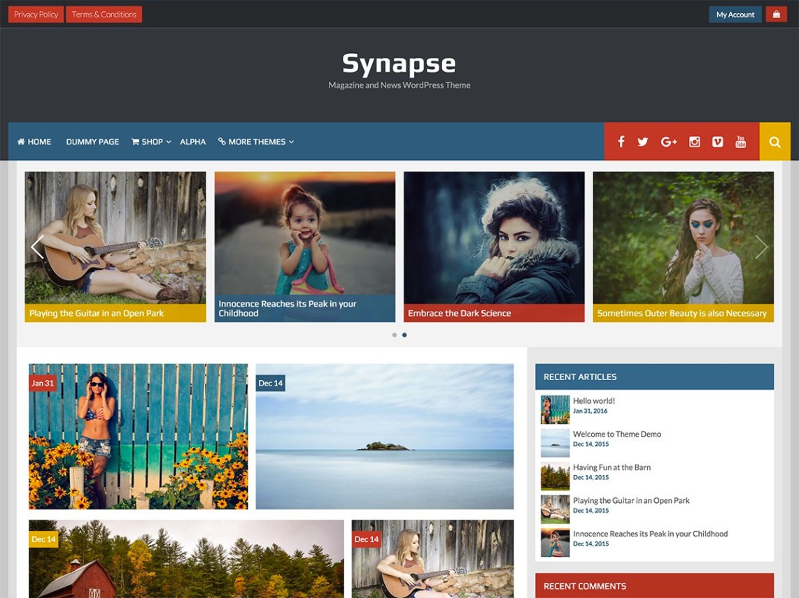 WordPress Theme Synapse