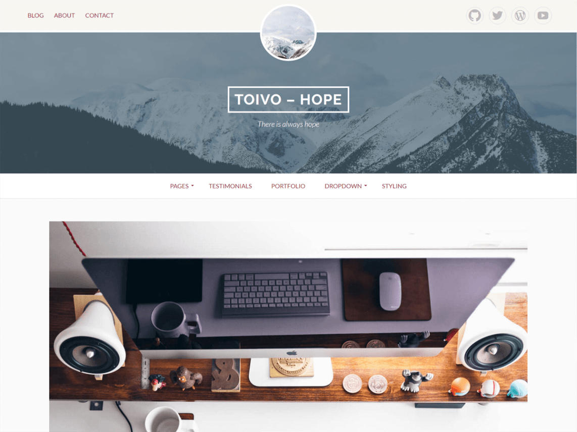 WordPress Theme Toivo Lite