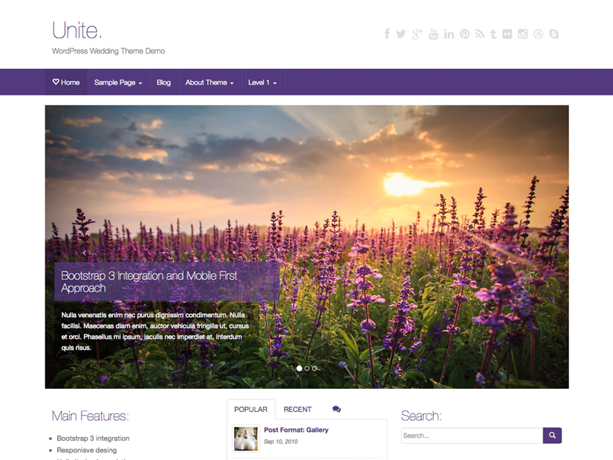 WordPress Theme Unite