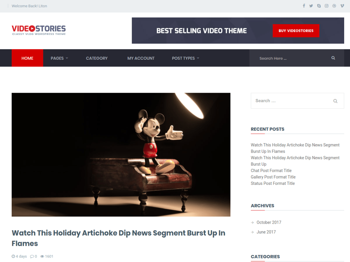 WordPress Theme VideoStories